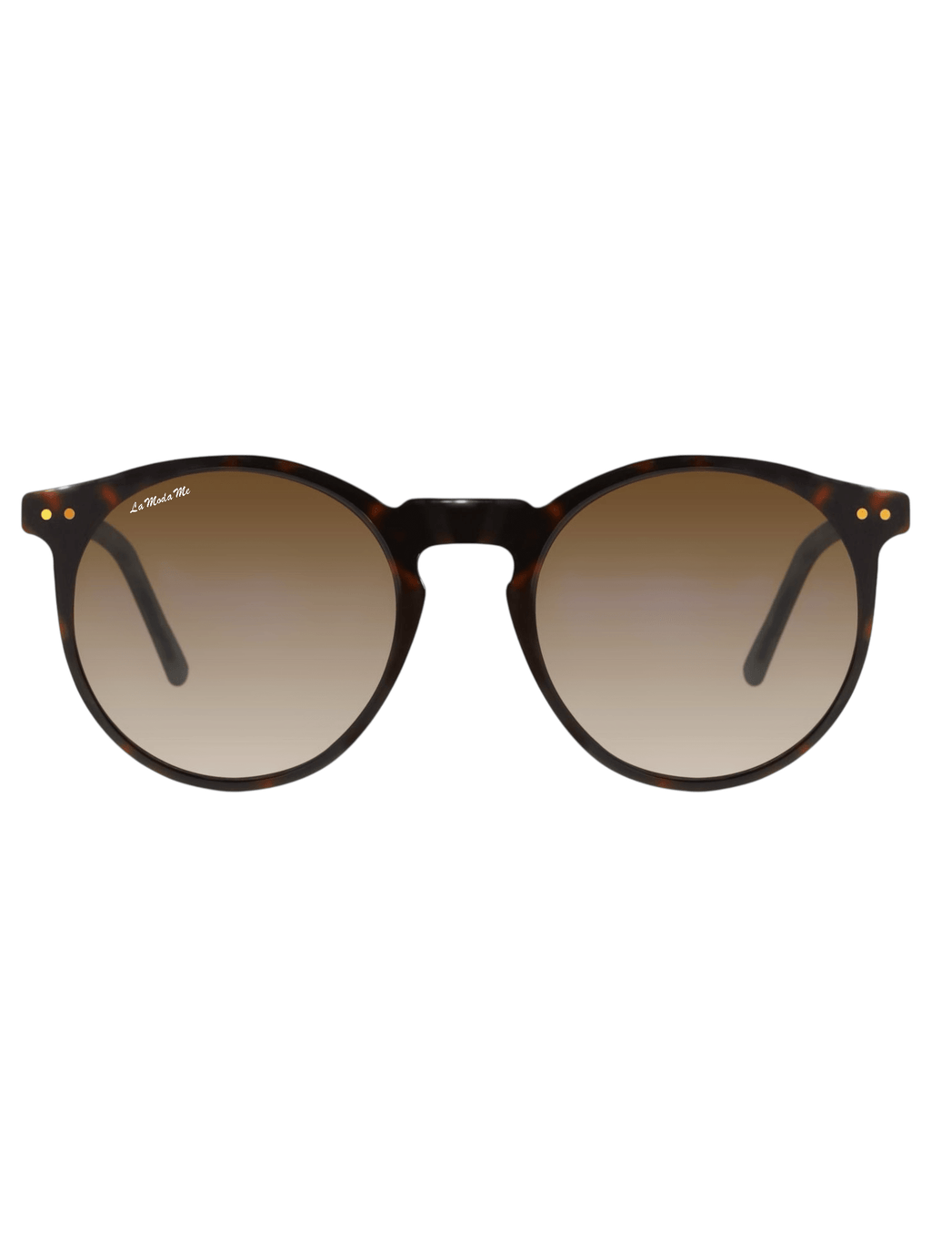 Lagoon Sunglasses - Bold Acetate Polarized UV400 - Von Günther zu WindSunglasses
