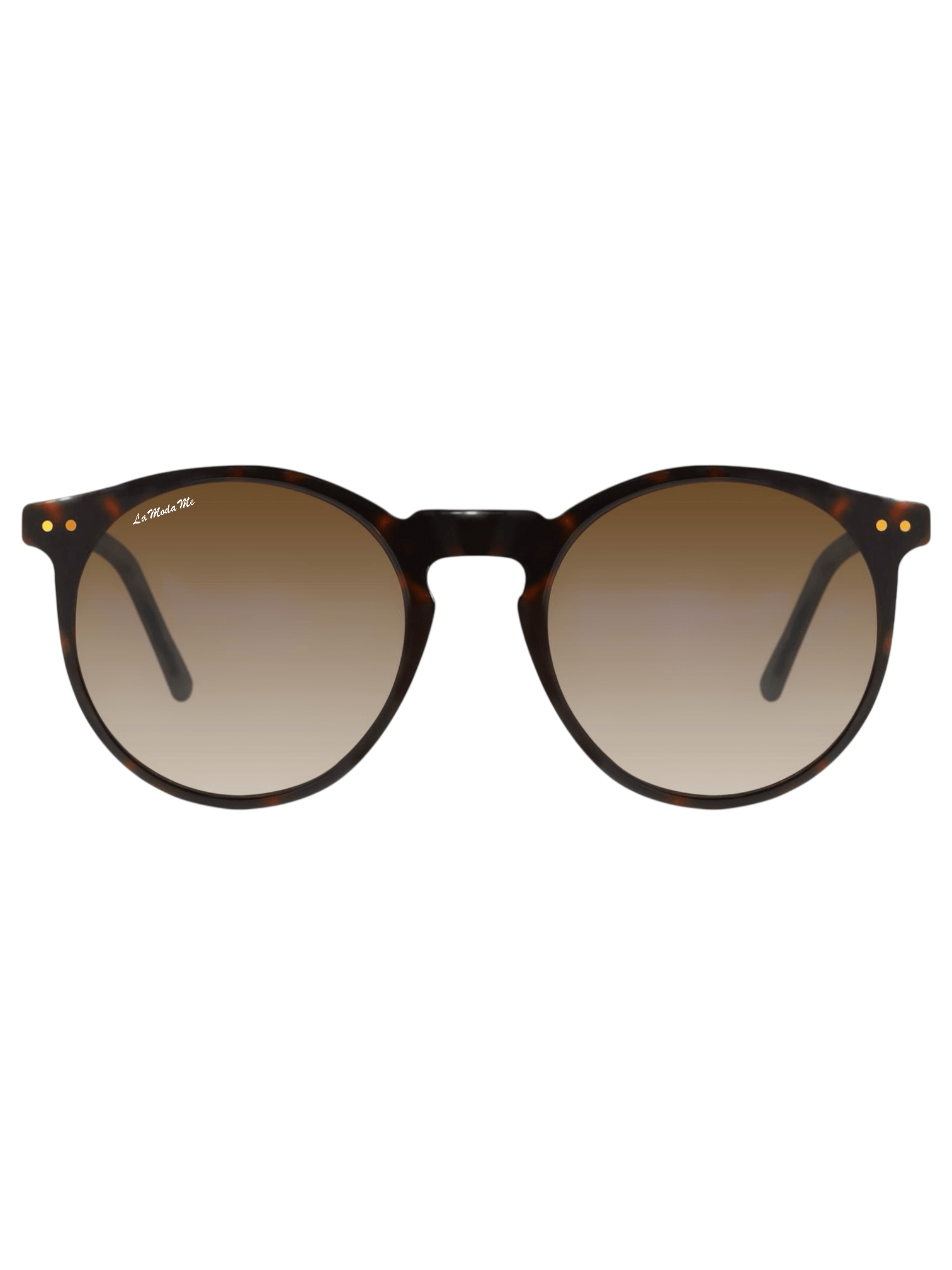 Lagoon Sunglasses - Bold Acetate Polarized UV400 - Von Günther zu WindSunglasses